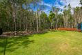 Property photo of 12 Wisteria Street Ormiston QLD 4160