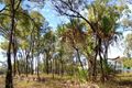 Property photo of 46 Trochus Street Dingo Beach QLD 4800