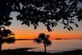 Property photo of 1/2 Beach Road Dolphin Heads QLD 4740