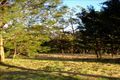 Property photo of 34-36 Forest Ridge Drive Bonogin QLD 4213