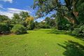 Property photo of 44 Ashford Avenue Castle Hill NSW 2154