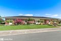 Property photo of 43 Spruce Avenue Warradale SA 5046