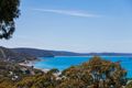 Property photo of 31 William Street Lorne VIC 3232