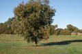 Property photo of 7 Maxwell Street West Ulverstone TAS 7315