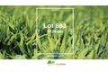 Property photo of LOT 883 Beraking Loop Dalyellup WA 6230