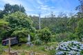 Property photo of 44 Monbulk Road Belgrave VIC 3160