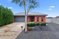 Property photo of 19 Arinya Close Ascot VIC 3551