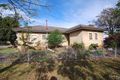 Property photo of 30 Lupin Avenue Fairfield East NSW 2165