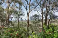 Property photo of 13 Yanko Avenue Wentworth Falls NSW 2782