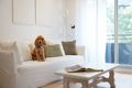 Property photo of 6/12-14 Myra Road Dulwich Hill NSW 2203