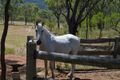 Property photo of LOT 10/6806 Mulligan Highway Mount Carbine QLD 4871