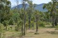Property photo of LOT 10/6806 Mulligan Highway Mount Carbine QLD 4871