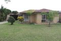 Property photo of 28 Baroda Avenue Netley SA 5037