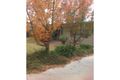 Property photo of 1 McDonnell Street Forbes NSW 2871