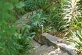 Property photo of 19 Lookout Road New Lambton Heights NSW 2305