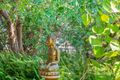 Property photo of 80 Redmond Road Hamilton Hill WA 6163