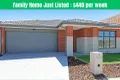 Property photo of 38 Foxtail Circuit Wallan VIC 3756