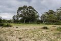 Property photo of 19 Casella Place Wandi WA 6167