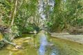 Property photo of 23 Butler Drive Kuranda QLD 4881