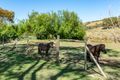 Property photo of 1266 Bull Creek Road Ashbourne SA 5157