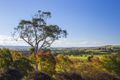 Property photo of 16 Hobbs Lane Woodstock NSW 2538