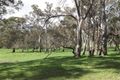 Property photo of 24 Onkaparinga Valley Road Balhannah SA 5242