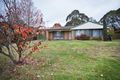 Property photo of 141 Evans Lookout Road Blackheath NSW 2785