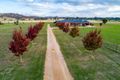 Property photo of 215 Hueske Road Jindera NSW 2642