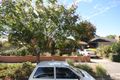 Property photo of 56 Morgan Avenue Daw Park SA 5041