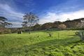 Property photo of 256 Kulgoa Crescent Terrey Hills NSW 2084