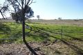 Property photo of 1291 Belowra Road Murringo NSW 2586