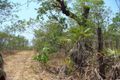 Property photo of 445 Elizabeth Valley Road Noonamah NT 0837