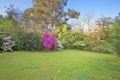 Property photo of 77 Bellevue Avenue Denistone NSW 2114
