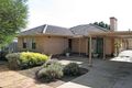 Property photo of 35 Flinders Street Edwardstown SA 5039