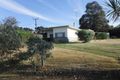 Property photo of 46 Haynes-Edwards Road Naracoorte SA 5271