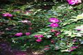 Property photo of 12 Hewitt Avenue Wahroonga NSW 2076