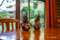Property photo of 7 Tink Taylor Avenue Sisters Beach TAS 7321