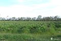 Property photo of 3502 Bundaberg Road Gin Gin QLD 4671