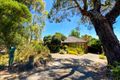 Property photo of 30 Springvale Road Nunawading VIC 3131