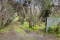Property photo of 22 Eugenia Street Rye VIC 3941