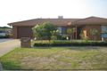 Property photo of 20 Condon Place Lavington NSW 2641