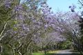 Property photo of 25 Fernbourne Road Wellington Point QLD 4160