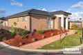 Property photo of 24/1A Annette Court Hastings VIC 3915