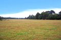 Property photo of 146 Balnarring Road Merricks North VIC 3926