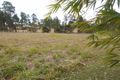 Property photo of 17 Arborthirteen Road Glenwood QLD 4570
