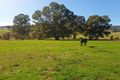 Property photo of 646 Sheans Creek Road Balmattum VIC 3666