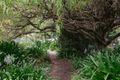 Property photo of 82 Panorama Road Blackstone Heights TAS 7250