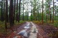 Property photo of 3948 Giinagay Way Urunga NSW 2455