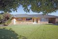 Property photo of 7 Moresby Street Lockleys SA 5032