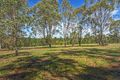 Property photo of 345 Parma Road Parma NSW 2540